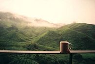 Cup of coffee outdoors