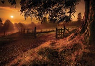 Perfect Autumn
