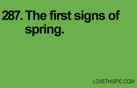 287-spring