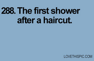 288-haircut