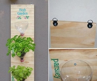 DIY Bottle Herb Garden