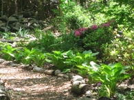 Woodland Garden