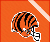 Cincinati Bengals