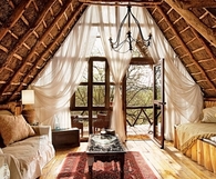 Elegant curtain room interior