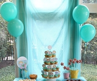 Home Party and organization