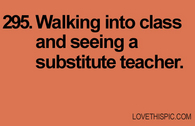 295-substitute