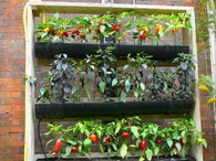 vertical gardening idea