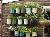 tin can gardening