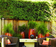 Earthly garden landscape