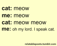 Oh my lord. I speak cat
