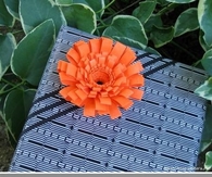DIY Nice Paper Quilled Flower