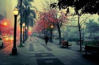 Cold city street