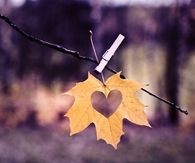 Heart cut out