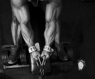 Unleash the beast