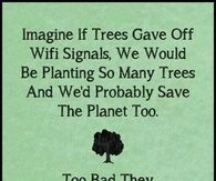 Trees