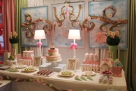Amazing girly themed party