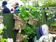 Garden ideas for small spaces