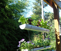 Hanging Garden