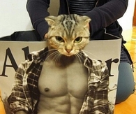 Catercrombie