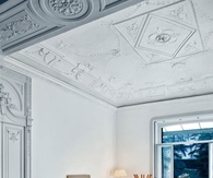 Luxurious living room decor