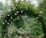 Garden entrance