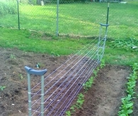 In progress garden
