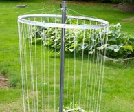 Recycled Bike Wheel Trellis