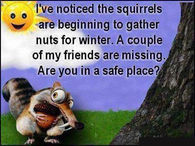 my friends are nuts