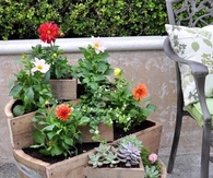 cute garden idea