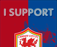 I SUpport Cardiff City