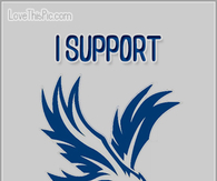 I Support Crystal Palace