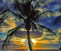 Pretty Sunset 