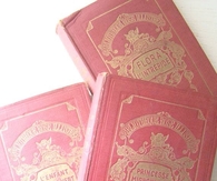Pink French Books