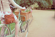 Autumn Bike rides 