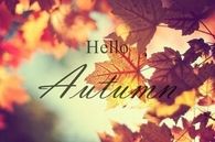Hello Autumn
