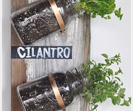 mason jar herb garden
