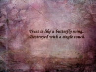 Trust is like a butterfly...