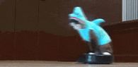 Shark cat