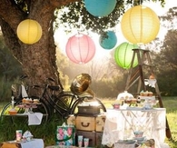 Festive Picnic