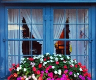Pretty Window