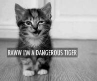 Raww im a dangerous tiger