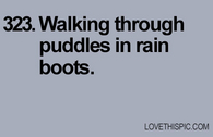 323-puddles
