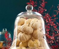 Small White Pumpkin Centerpiece