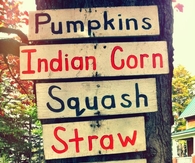 Fall Harvest