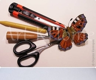DIY Beautiful Quilled Butterfly