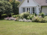 Small Space Gardening
