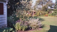 Flower Border Garden