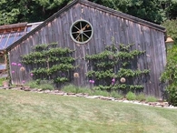 Espalied Fruit Trees