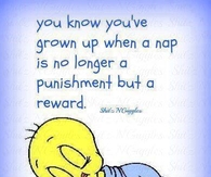 a nap
