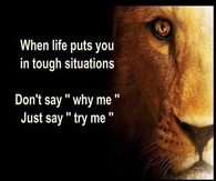 try me